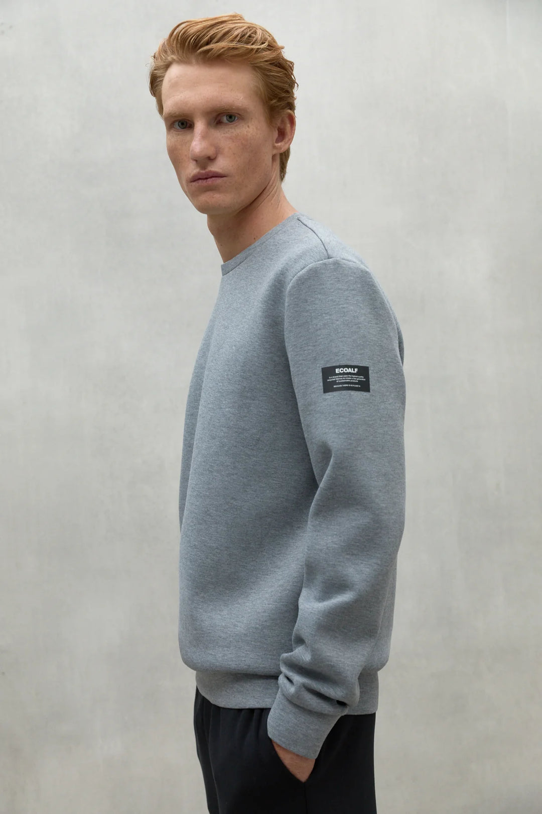 ARLES Sweatshirt grey mel