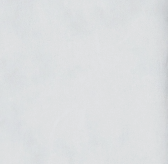 BOXY CROP Tee | Colorful Standard