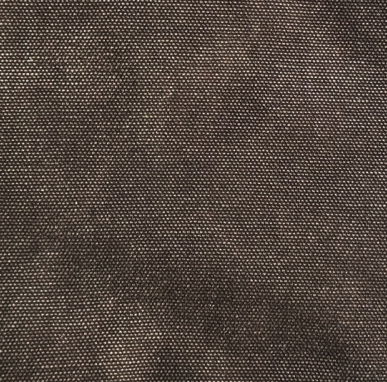 BOXY CROP Tee | Colorful Standard