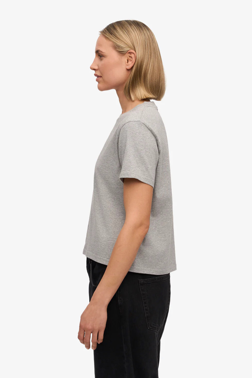 BOXY CROP Tee | Colorful Standard